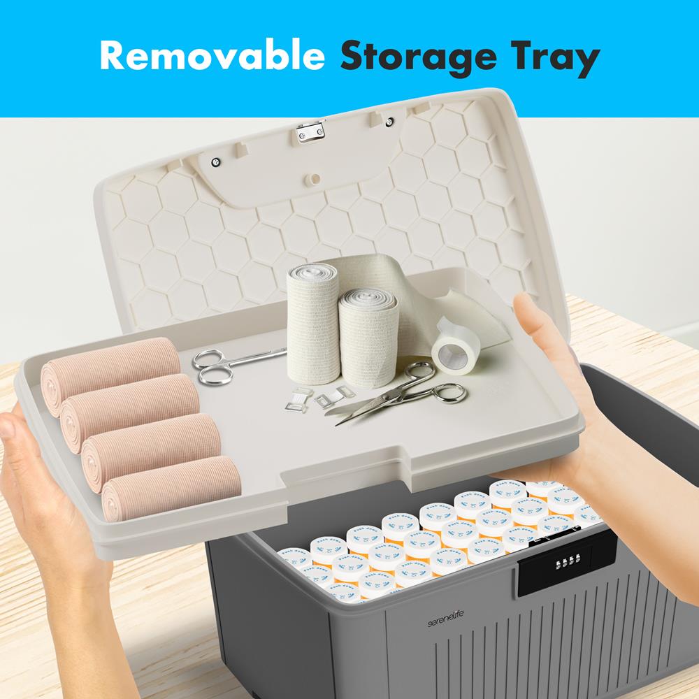 Heavy-Duty Storage Bin With Combination Lock (Gray)